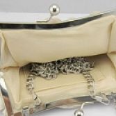 Champagne Clutch