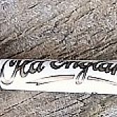 Ciac Old England schoenveters Geel