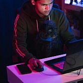 De snelle opkomst van in Nederland geboren online entertainmentbedrijven