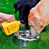 Dieren & aloe vera