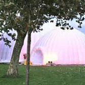 Domes