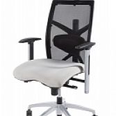 Ergonomische Bureaustoel Vorden