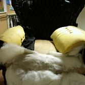Fauteuil