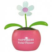 Flip Flap Flower