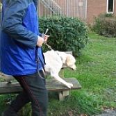Funtraining