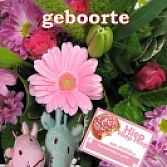 Geboorte bloemen