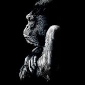 Gorilla Poster