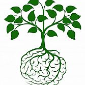 Green Tinted Health Consultancy