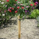 Grondbloempaal
