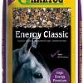 Hartog Energy Classic