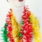 Hawaii slingers
