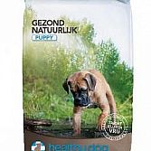 Healthy Dog