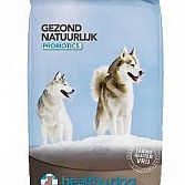 Healthy Dog
