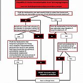 Hepatitis A