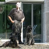 Hondengeleiders / K9-Units