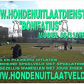 Hondenuitlaatveld