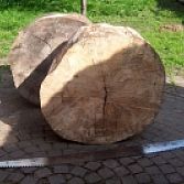 In de maak: 