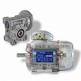 Innovatieve partner van AXIS & Stuifmeel: MOTIVE S.R.L.