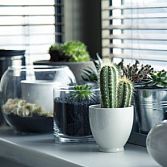 Interieurstyling