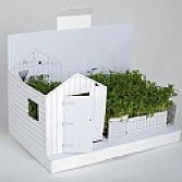 Kaart moestuin