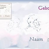 Keuze uit unieke tweeling geboortekaartjes