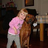 Kind-Hond Begeleiding