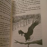 Kinderboek: PONKI \