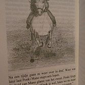 Kinderboek: PONKI \