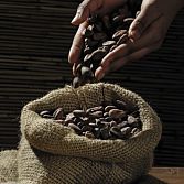 Koffiebonen