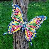 Leuke Vlinders