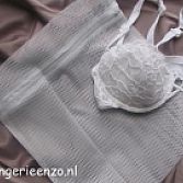 Lingerieparty