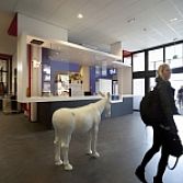 Marcelponjee interieurarchitecten