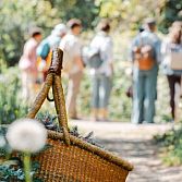 Medicine Walk Â wildplukwandeling met Achula