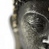 Mindfulness 
