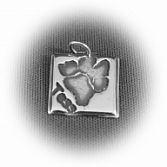 Miniprint bedel