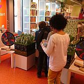 Natuurworkshops