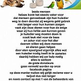 Ontstaan