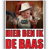 Ontwerp