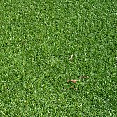Oranje tapijt of loper, 200 of 400 cm breed 5,00 euro m2