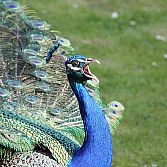 Originele workshops: natuurfotografie