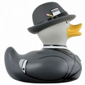 Paparazzi duck