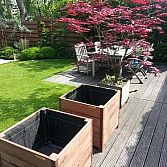 Particuliere tuin Delft