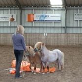 Passie voor Dieren
