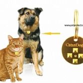 Pet Protector penning