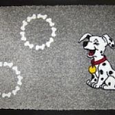 Pet kit voor hond en kat