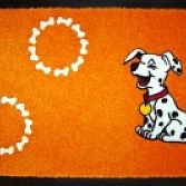 Pet kit voor hond en kat