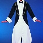 Pinguin kostuum