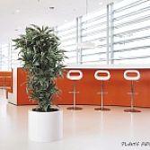 Plantenbakken
