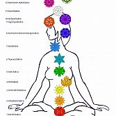 Poster 13 chakra