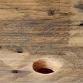 Recreate huis en tuin